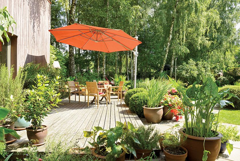 W donicach rosną m.in. afrykańskie bananowce.