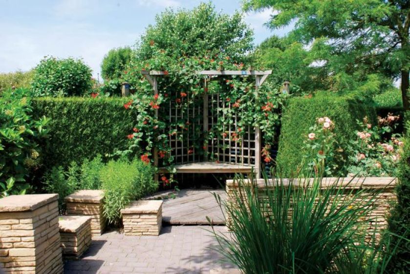 wiciokrzew rodzaje odmiany