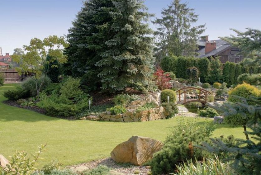 japoński ogród pełen słońca i kolorów.