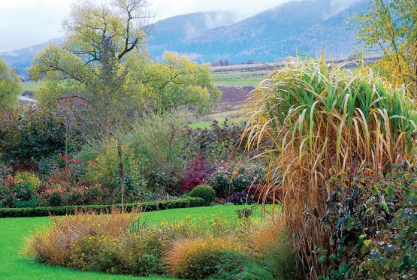 Ogród w stylu angielskim. Jesień kolorowych traw
