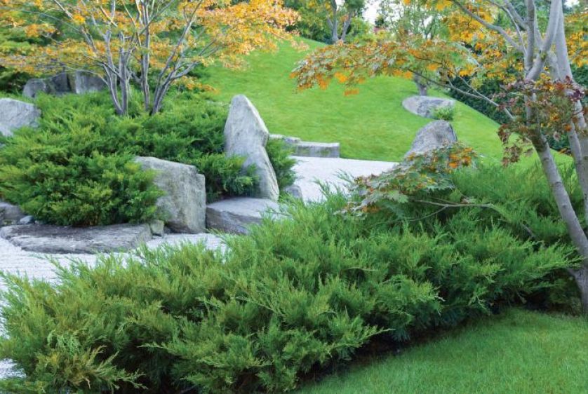 Projektanci japońskich ogrodów lubią zaskakiwać