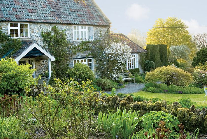 Żonkile, pierwiosnki i czosnek