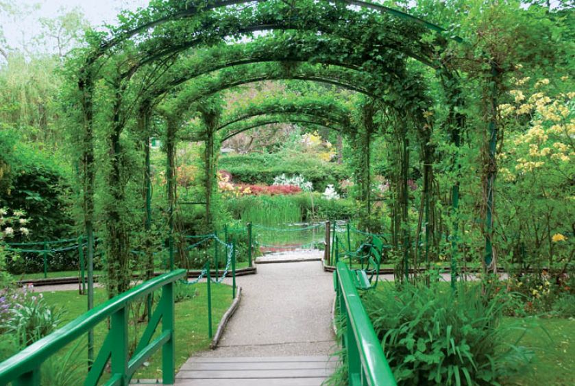 Imponująca aleja pod pergolą. Ogród Moneta w Giverny