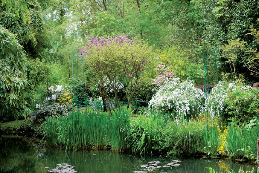 Tło dla stawu tworzy gąszcz kolorowo kwitnących krzewów.