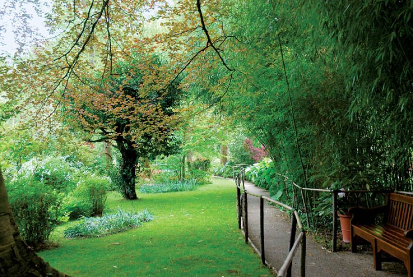 W ogrodzie w stylu romantycznym latwo zagubić się wśród zieleni i zapomnieć o Bożym świecie.