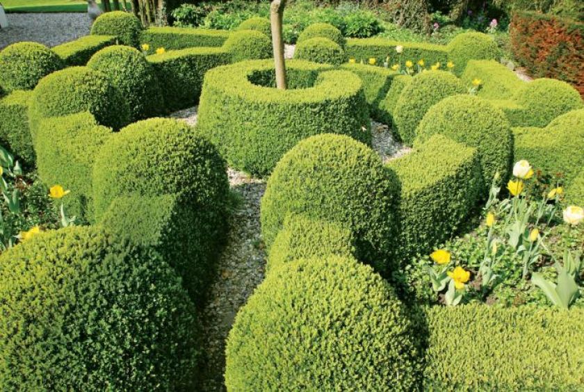 Holenderski ogród w stylu francuskim