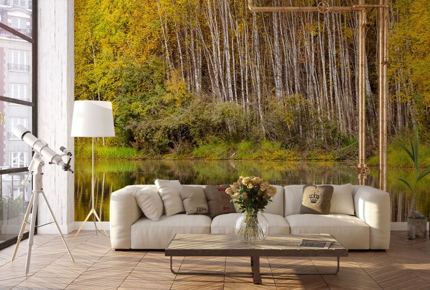 Fototapeta z brzozami, czyli nowe właściwości znanego drzewa