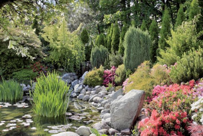 Ogród zachwyca swoją kolorystyką. Japoński ogród w Janowicach