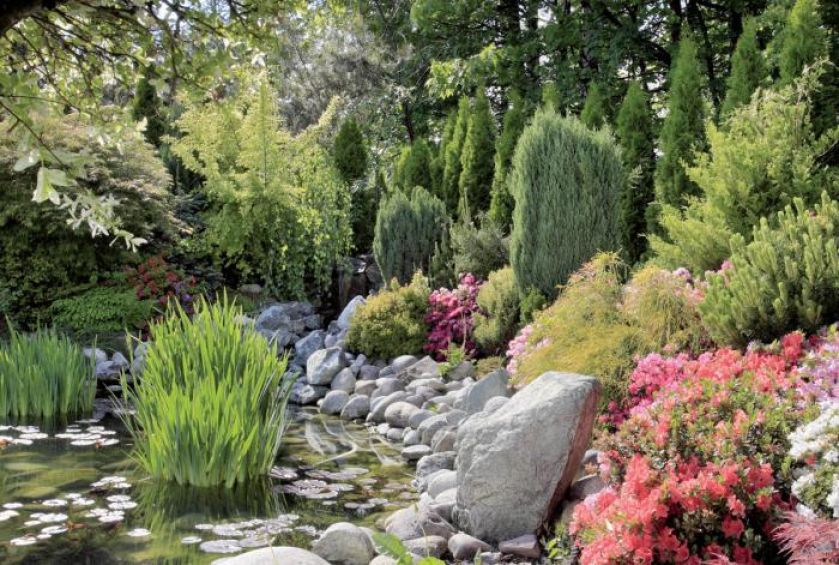 Ogród zachwyca swoją kolorystyką. Japoński ogród w Janowicach