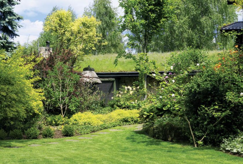 Świerki, paprocie, bluszcz i rododendrony tworzą cudowne kompozycje pełne kontrastów.