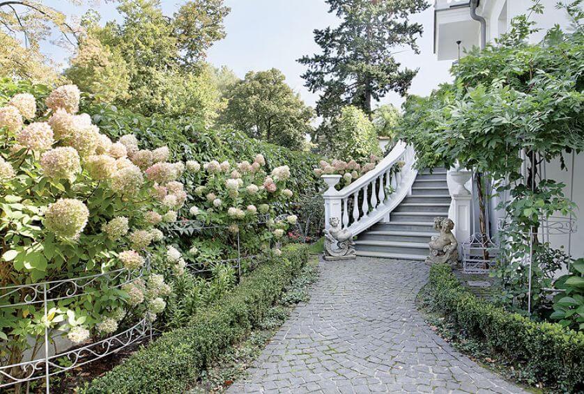 Wsród hortensji. Willa wśród hortensji