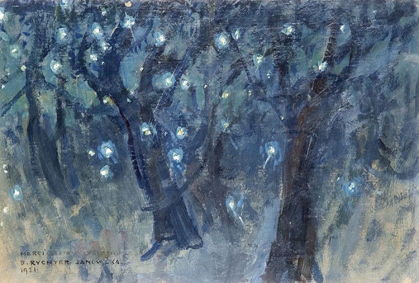 Bronisława Rychter-Janowska - rasowa artystka