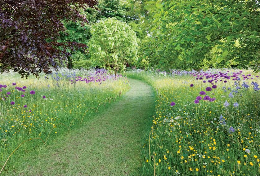 Ścieżki w ogrodzie – inspiracje, pomysły i zdjęcia