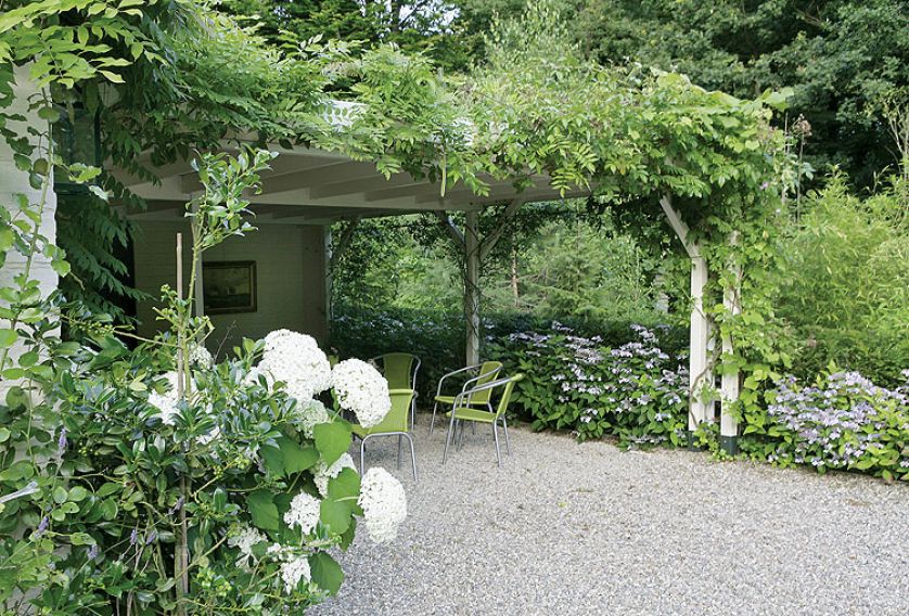 Wzdłuż ścieżki usadowiły się hortensje Anabelle