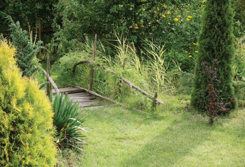 Mały mostek w ogrodzie. Ogród pełen traw i żywopłotów