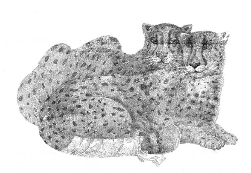 Swoje grafiki Ela dzierga starannie niczym szal na drutach.