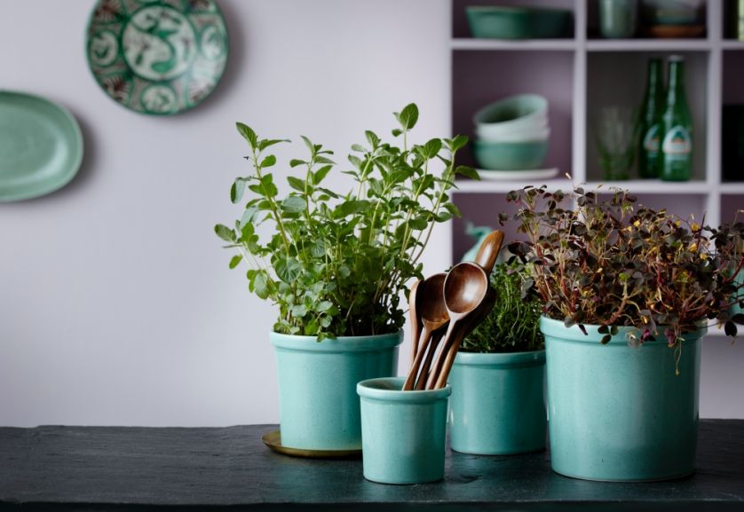 ceramiczne doniczki zielone