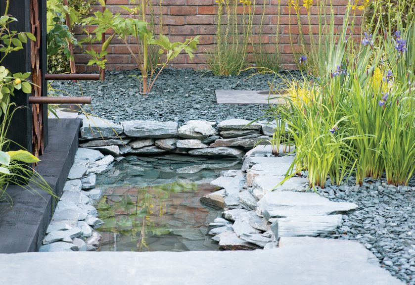 Oczko wśród klonów