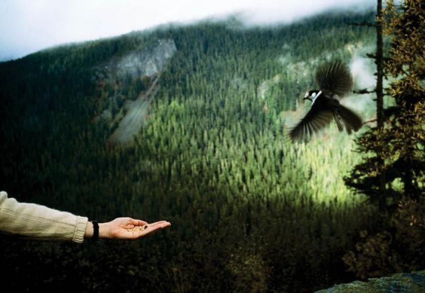 Fotografia Tomasza Tomaszewskiego. Sztuka patrzenia