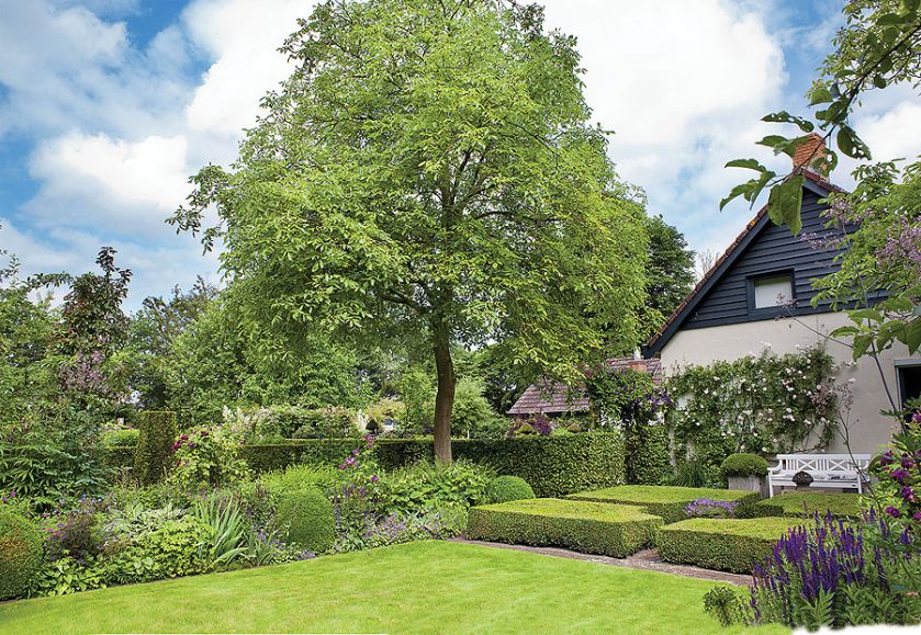 Fantazyjne żywopłoty. W cieniu wysokich drzew