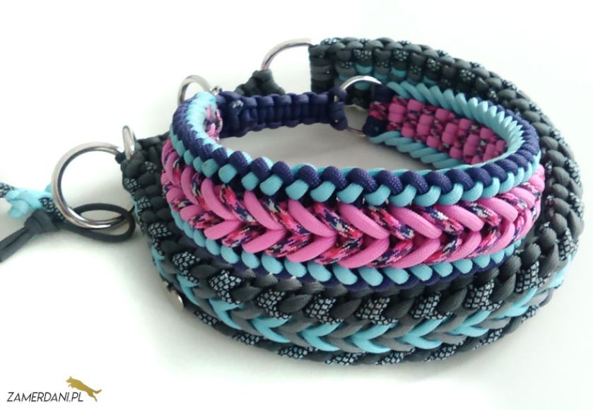 kolorowa obroża dla psa