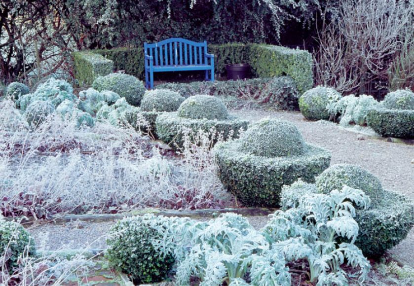 W tym zakątku ogrodu, dla odmiany od geometrycznych żywopłotów, krzewy przycięto na kształt UFO.