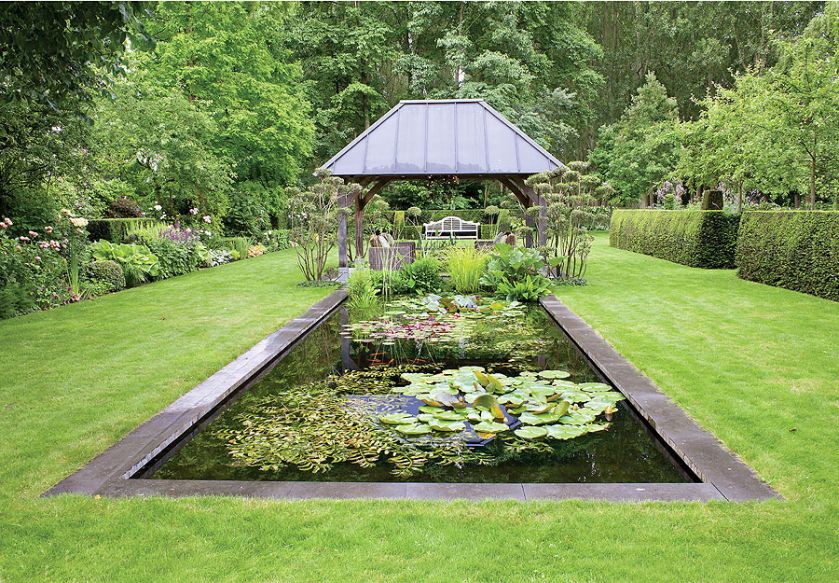 A obok niej niewielki staw z liliami ’Escarboucle’.