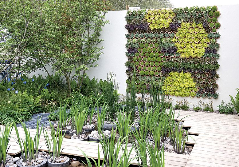 Ściana z ziół. Ogród na ścianie