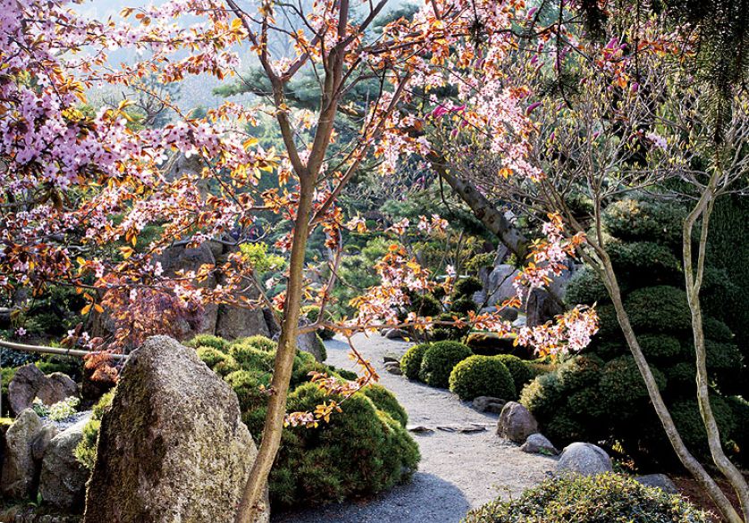 Japoński ogród niedaleko Kudowy-Zdrój. Najpiękniejsze drzewka bonsai w Polsce.