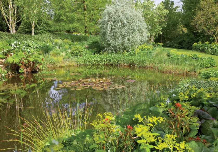 Te wszystkie piękności chronią przed zimnymi wiatrami drzewa i mnóstwo krzewów.