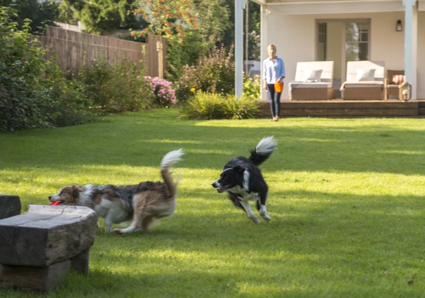 dom letniskowy z tarasem