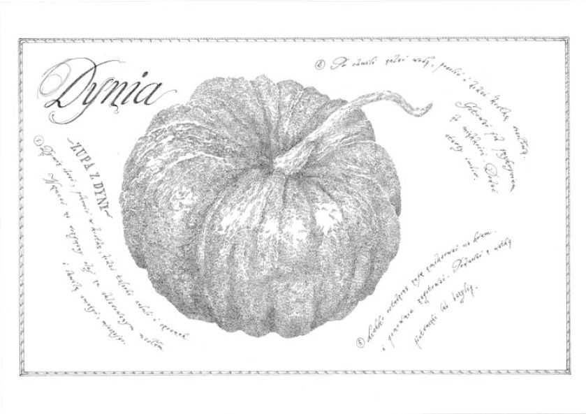 Piórkiem i tuszem. Piórkiem i tuszem