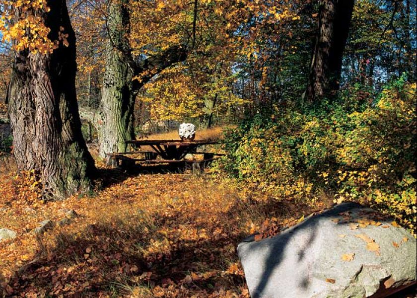 Andrzej Wajda nakręcił tu Panny z Wilka , a Magdalena Łazarkiewicz - Białe małżeństwo .