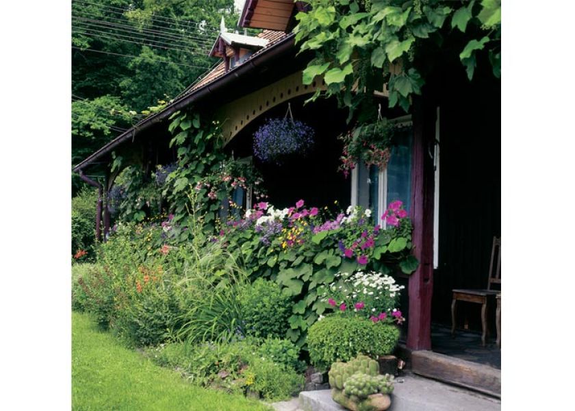 Drewnianą werandę upiększają pelargonie, petunie i wisząca lobelia w doniczkach.