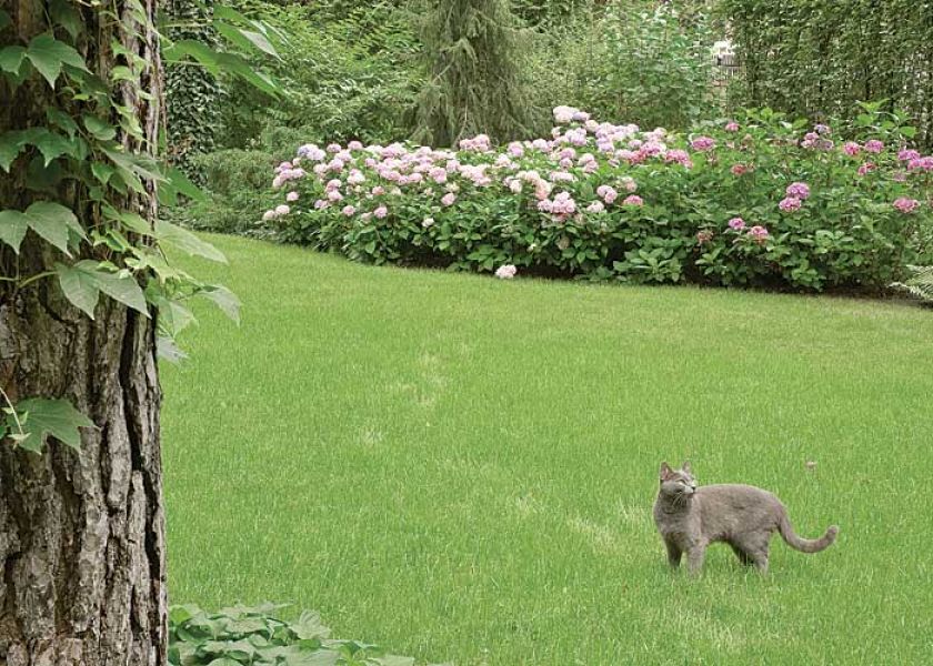 Helleńska willa w polskim ogrodzie