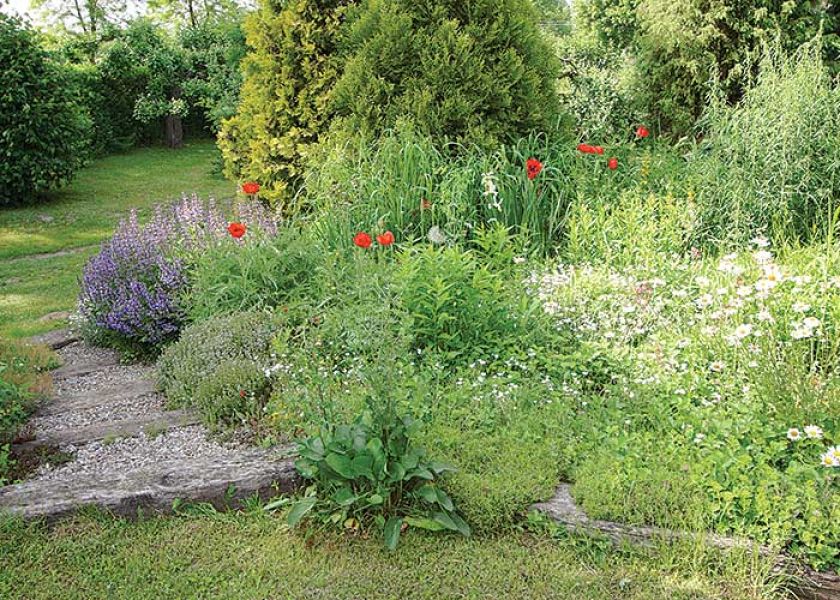 Kamyki i podkłady kolejowe na ścieżce.