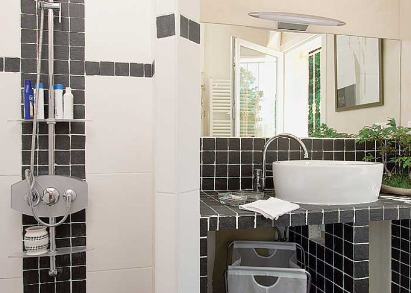 Wiatrak z francuskim polotem