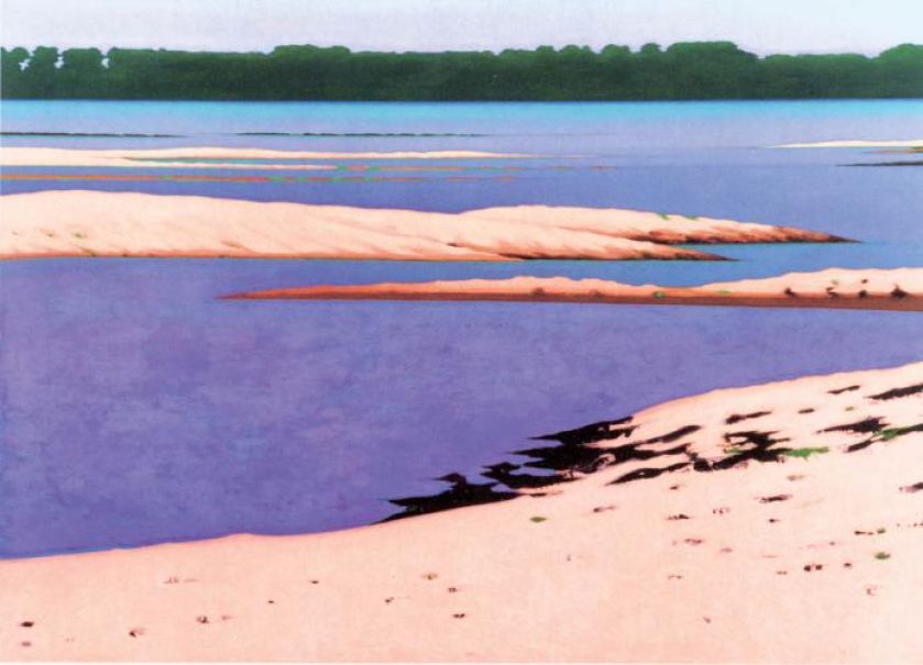 Antoni Starowieyski 497 , 2008-2009 r.