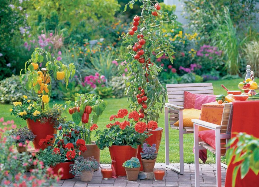 Urządzamy ogród: trendy 2018