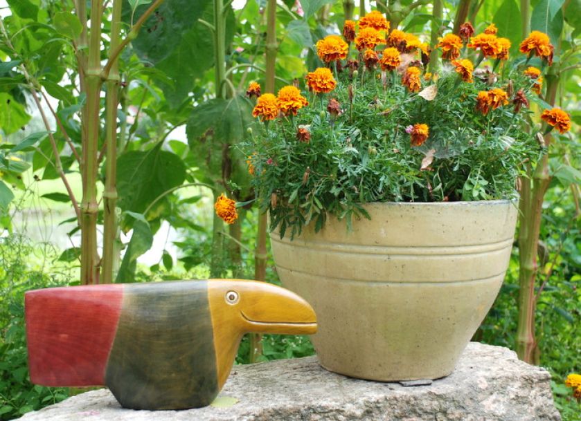 Rzeźba wykonana z drewna olchowego i pomalowana bejcami do drewna. Mirosław Dziewiałtowicz, Stare