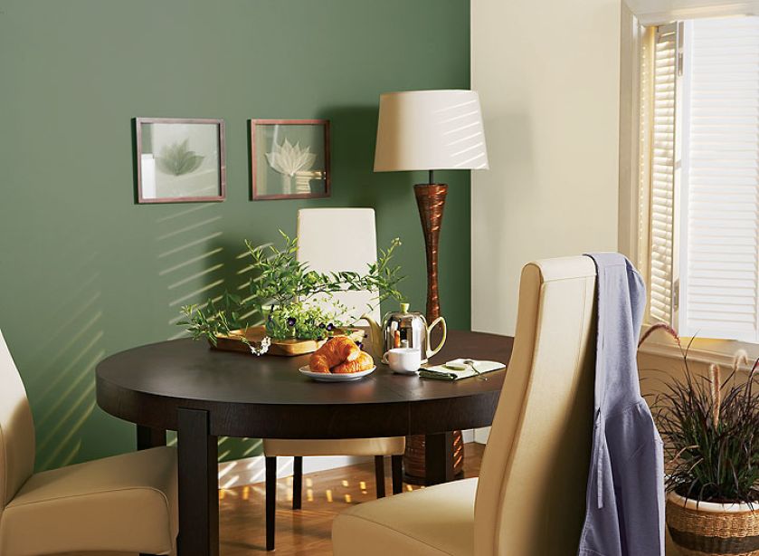 Kolory jasny i zielony . Cena za litr – 43,40 zł. PARA PAINTS