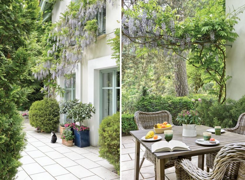 Dom porasta fioletowa wisteria, którą trzeba starannie przycinać, by kwitła.