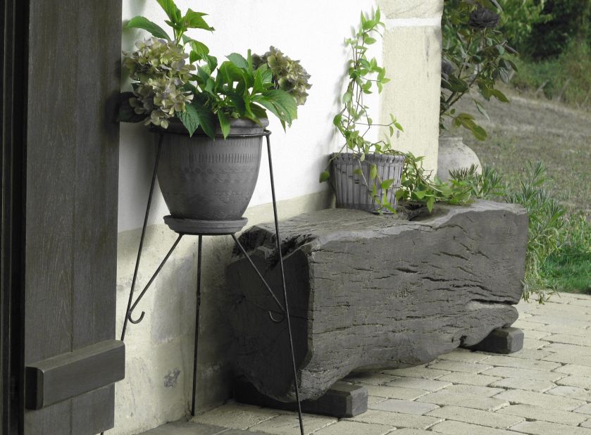 Aranżacja kwiatów na tarasie. Baza roślin – rośliny doniczkowe