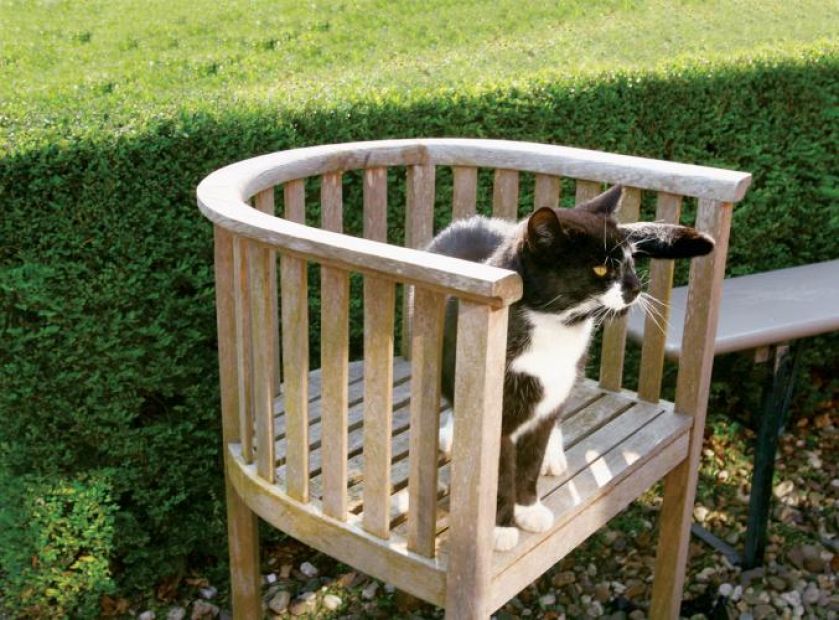 Zapraszamy kwiaty do ogrodu