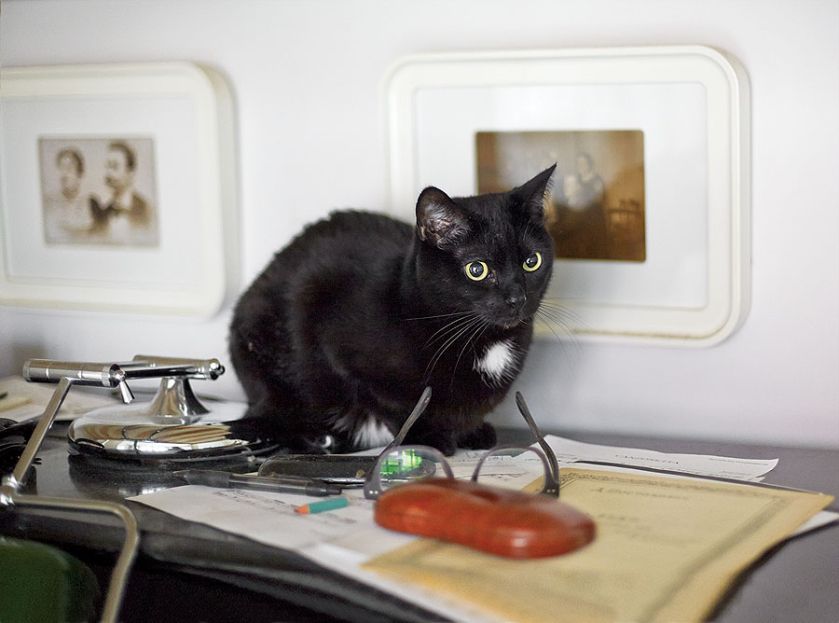 Ale nie zabrakło kilku ciekawych starych drobiazgów, pamiątek po dziadkach i pradziadkach.