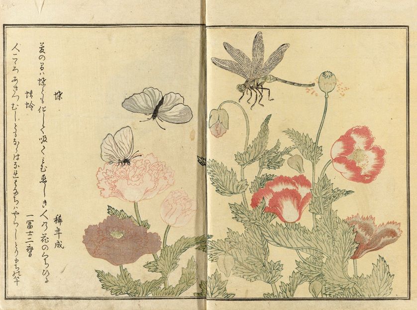 Ikebana nie jest zwykłym bukietem – każdy kwiat symbolizuje jakieś uczucie. Gdy usta milczą, mówią