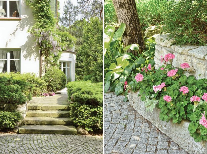 W leśnym ogrodzie jest miejsce zarówno dla dzikich traw, chwastów i ziół, jak i roślin bardziej ozdobnych. Wiekowe, bo