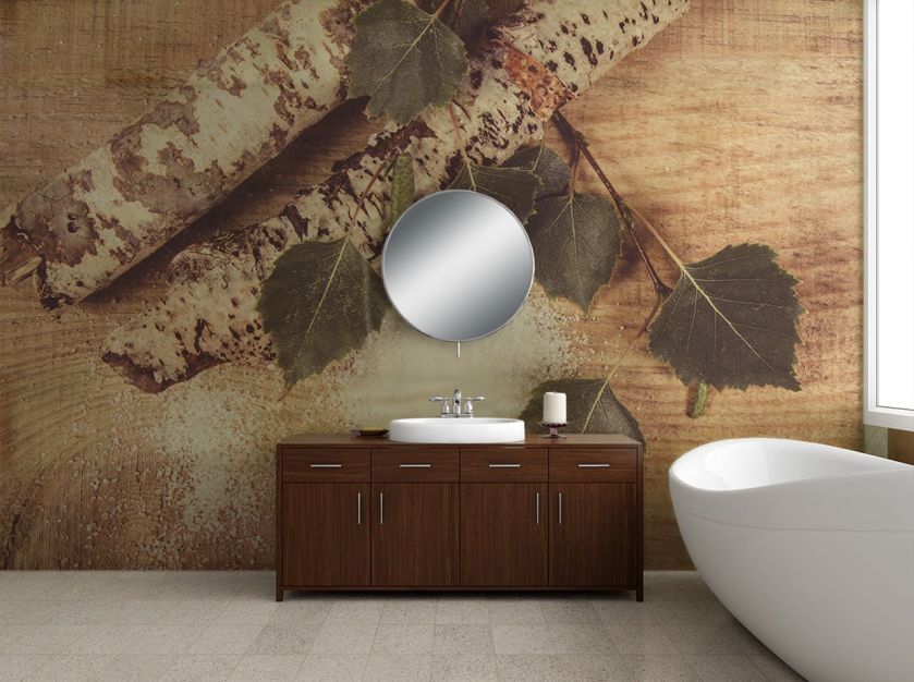 Fototapeta z brzozami, czyli nowe właściwości znanego drzewa