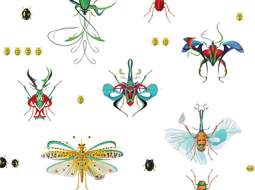 Księga owadów, 2011 r. Botaniczne grafiki Bożki Rydlewskiej