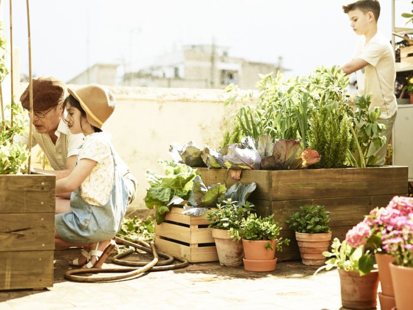 INGEFÄRA doniczka z podstawką, 4,99 zł.